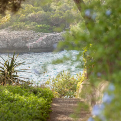 6860ef54-b6bc-4883-a784-341b0595a012