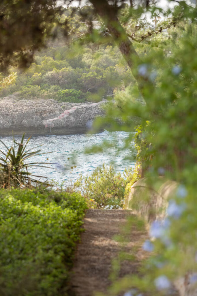 6860ef54-b6bc-4883-a784-341b0595a012