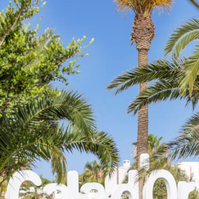 bc2c586e-a0be-44b5-bf22-aa16f18c3e7a