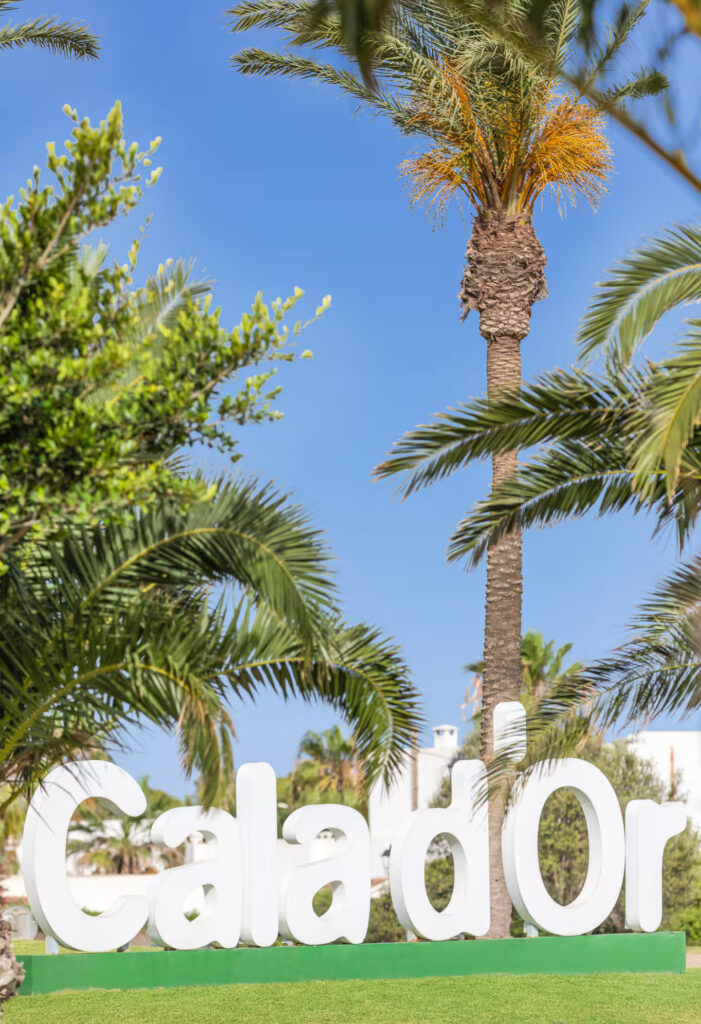 bc2c586e-a0be-44b5-bf22-aa16f18c3e7a