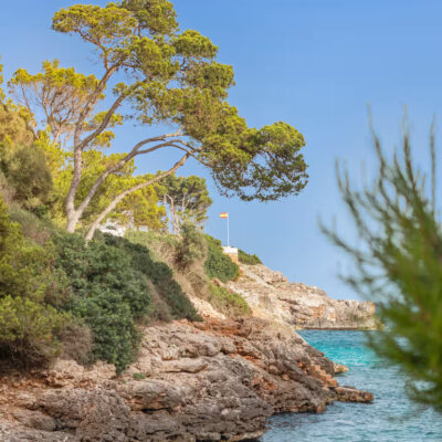 c46dca18-c4ed-4828-ae15-9769688abfe4