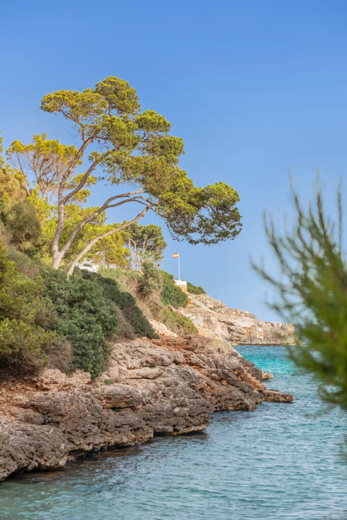 c46dca18-c4ed-4828-ae15-9769688abfe4