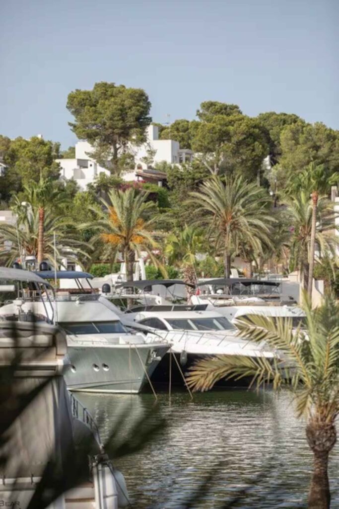 vfbdrmhk8d0bchaexq8e